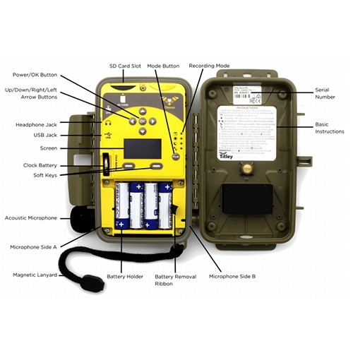 Chorus 鳥類、動物聲音記錄儀